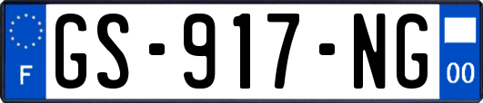 GS-917-NG