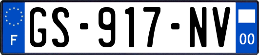 GS-917-NV
