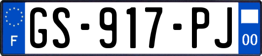 GS-917-PJ