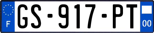 GS-917-PT