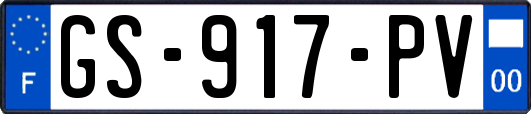 GS-917-PV