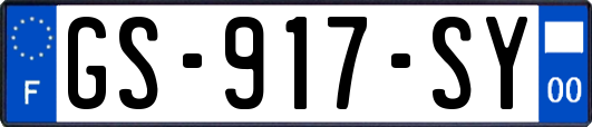 GS-917-SY