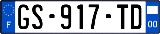 GS-917-TD