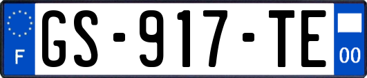 GS-917-TE
