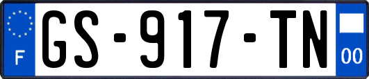 GS-917-TN