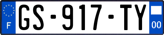 GS-917-TY