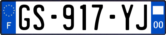 GS-917-YJ
