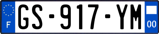 GS-917-YM