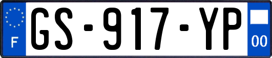 GS-917-YP