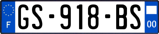 GS-918-BS