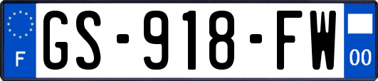 GS-918-FW