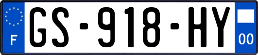 GS-918-HY