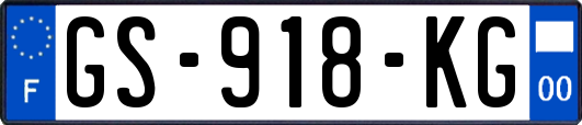 GS-918-KG