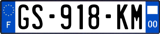 GS-918-KM