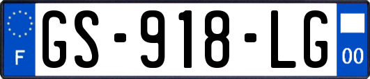 GS-918-LG