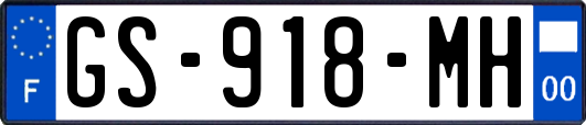 GS-918-MH