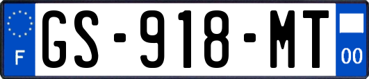 GS-918-MT