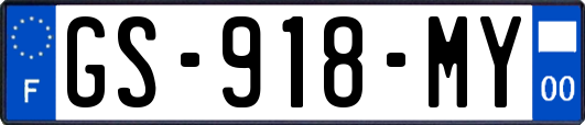 GS-918-MY