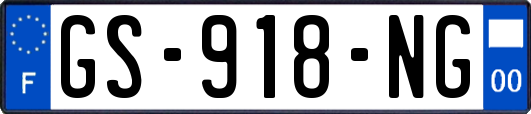 GS-918-NG