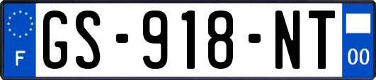 GS-918-NT