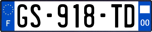 GS-918-TD