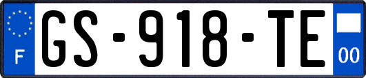GS-918-TE
