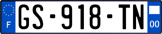 GS-918-TN