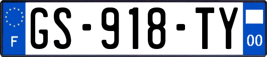 GS-918-TY