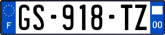 GS-918-TZ