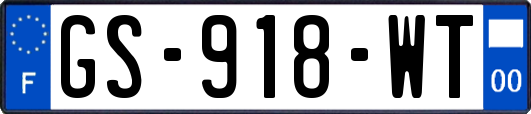 GS-918-WT