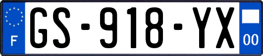 GS-918-YX