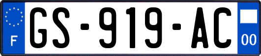 GS-919-AC