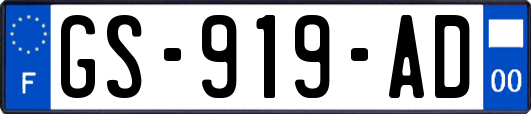 GS-919-AD