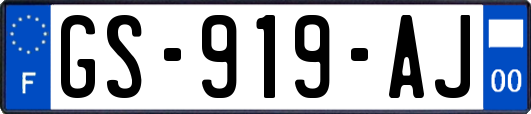 GS-919-AJ