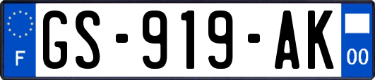 GS-919-AK