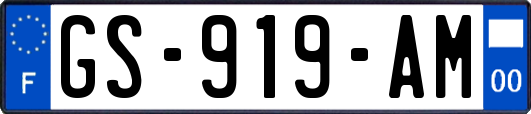 GS-919-AM