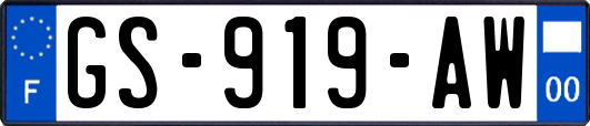 GS-919-AW