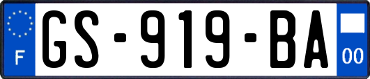 GS-919-BA