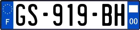 GS-919-BH