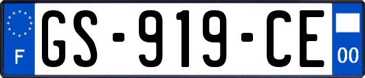 GS-919-CE