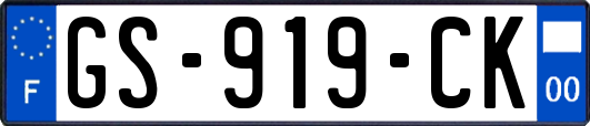 GS-919-CK