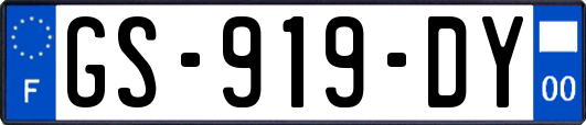 GS-919-DY