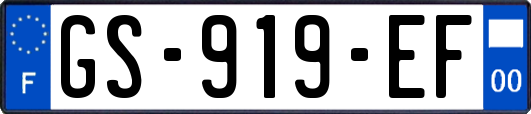 GS-919-EF