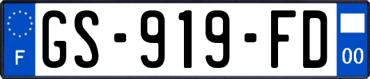 GS-919-FD
