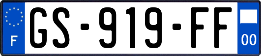 GS-919-FF