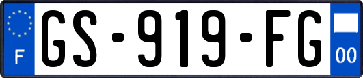 GS-919-FG
