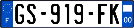 GS-919-FK
