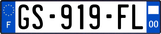 GS-919-FL