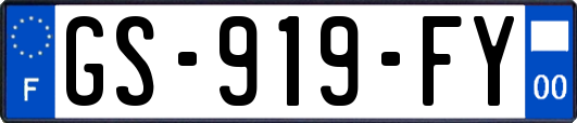 GS-919-FY