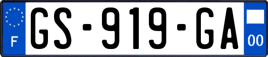 GS-919-GA